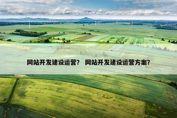 网站开发建设运营？ 网站开发建设运营方案？