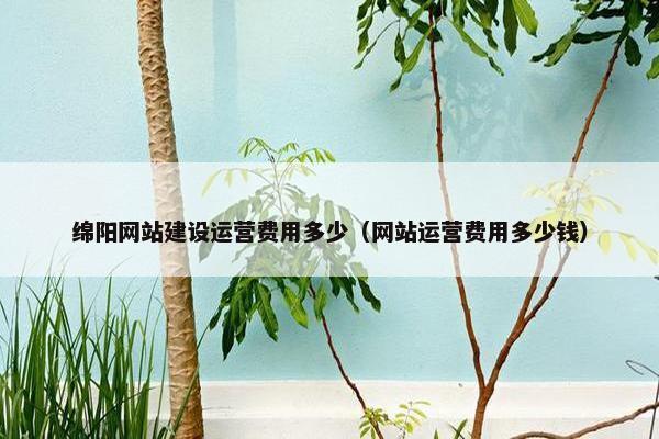 绵阳网站建设运营费用多少（网站运营费用多少钱）