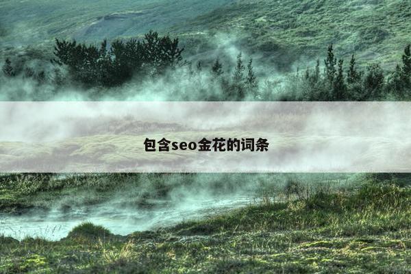 包含seo金花的词条