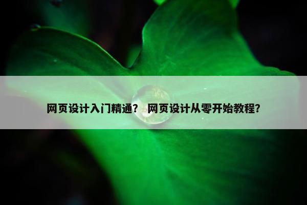 网页设计入门精通？ 网页设计从零开始教程？