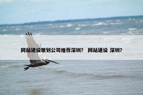 网站建设策划公司推荐深圳？ 网站建设 深圳？