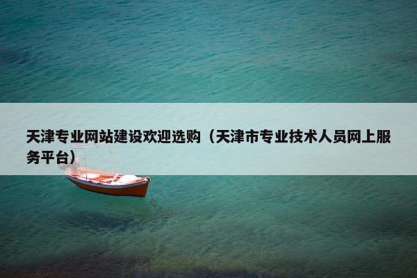 天津专业网站建设欢迎选购（天津市专业技术人员网上服务平台）