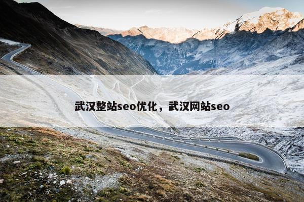 武汉整站seo优化，武汉网站seo