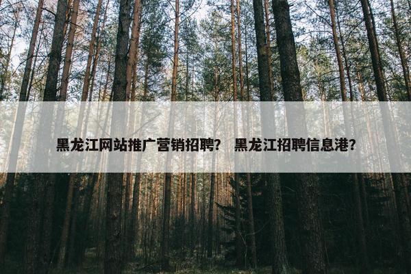 黑龙江网站推广营销招聘？ 黑龙江招聘信息港？