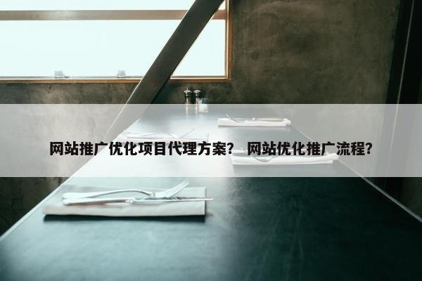 网站推广优化项目代理方案？ 网站优化推广流程？