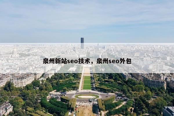 泉州新站seo技术，泉州seo外包
