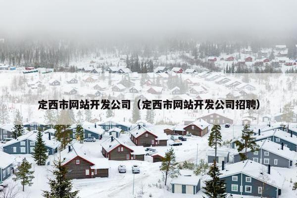 定西市网站开发公司（定西市网站开发公司招聘）