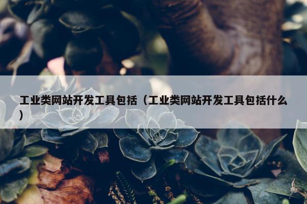 工业类网站开发工具包括（工业类网站开发工具包括什么）