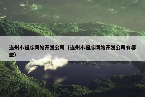 连州小程序网站开发公司（连州小程序网站开发公司有哪些）