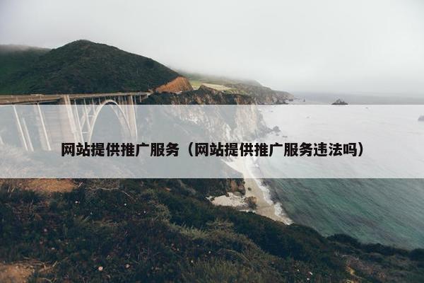 网站提供推广服务（网站提供推广服务违法吗）