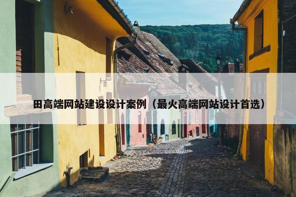 田高端网站建设设计案例（最火高端网站设计首选）
