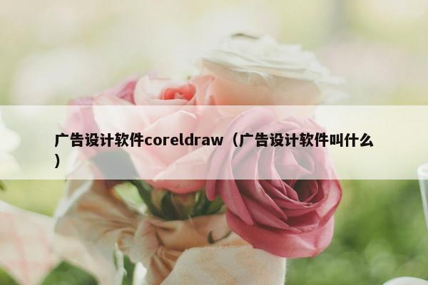 广告设计软件coreldraw（广告设计软件叫什么）