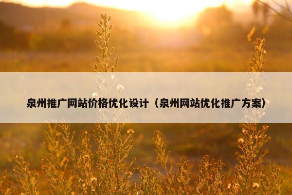 泉州推广网站价格优化设计（泉州网站优化推广方案）