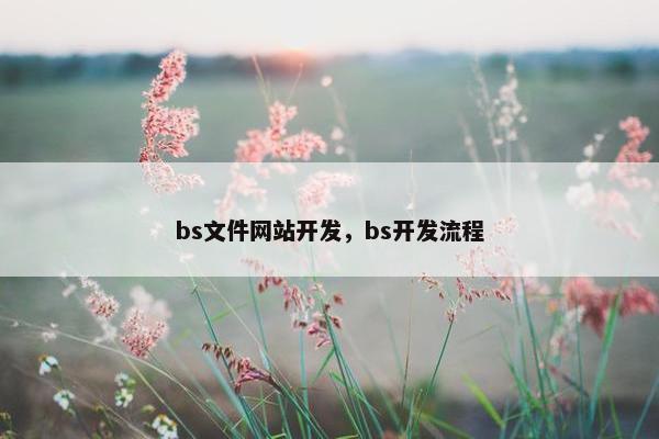 bs文件网站开发，bs开发流程
