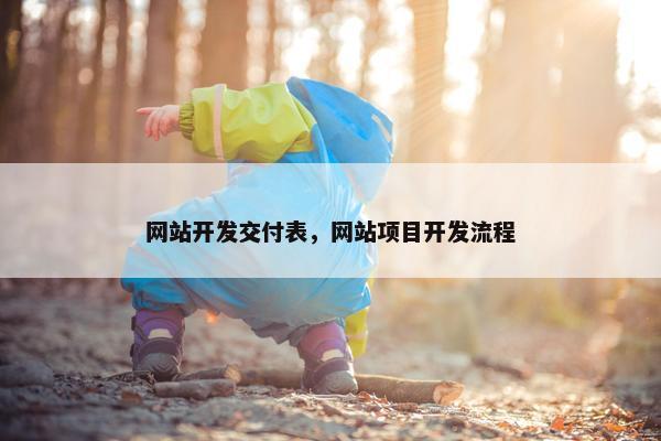网站开发交付表，网站项目开发流程