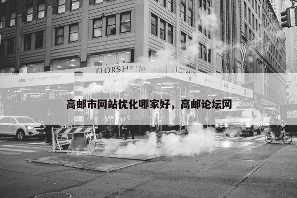 高邮市网站优化哪家好，高邮论坛网
