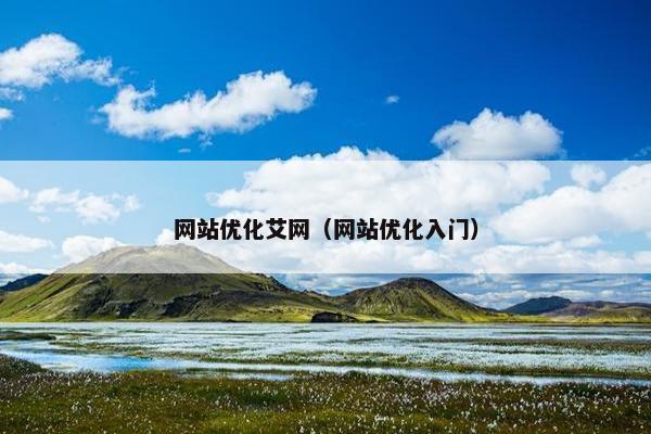 网站优化艾网（网站优化入门）