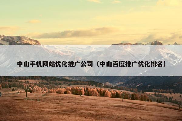 中山手机网站优化推广公司（中山百度推广优化排名）