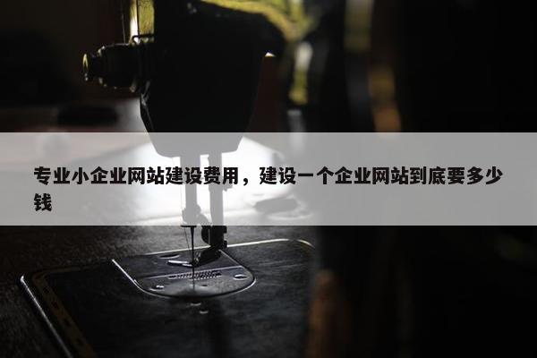 专业小企业网站建设费用，建设一个企业网站到底要多少钱