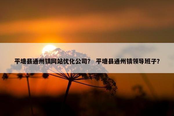 平塘县通州镇网站优化公司？ 平塘县通州镇领导班子？