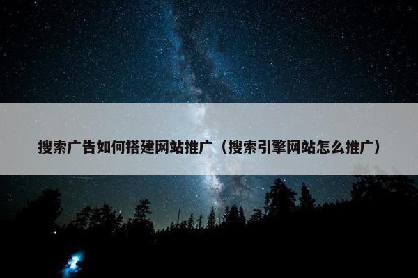搜索广告如何搭建网站推广（搜索引擎网站怎么推广）