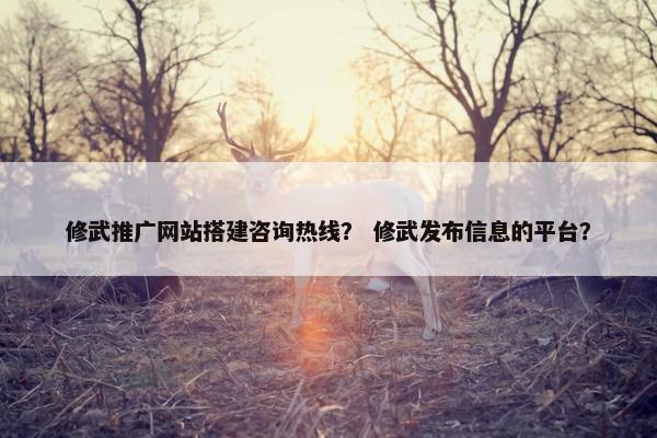 修武推广网站搭建咨询热线？ 修武发布信息的平台？