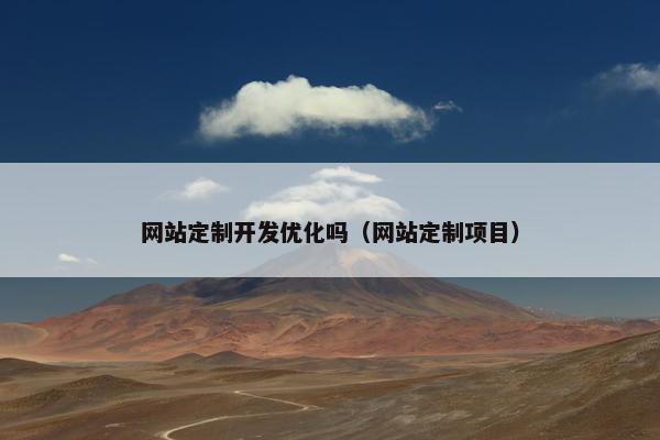 网站定制开发优化吗（网站定制项目）
