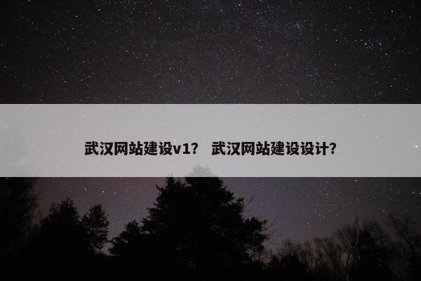 武汉网站建设v1？ 武汉网站建设设计？