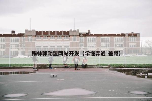 锡林郭勒盟网站开发（学懂弄通 差距）