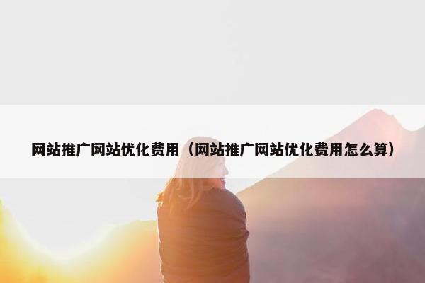 网站推广网站优化费用（网站推广网站优化费用怎么算）
