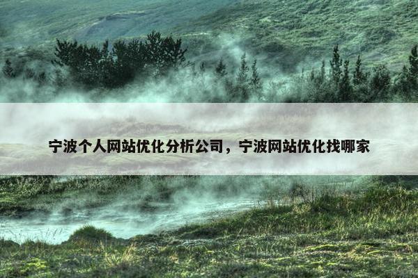 宁波个人网站优化分析公司，宁波网站优化找哪家