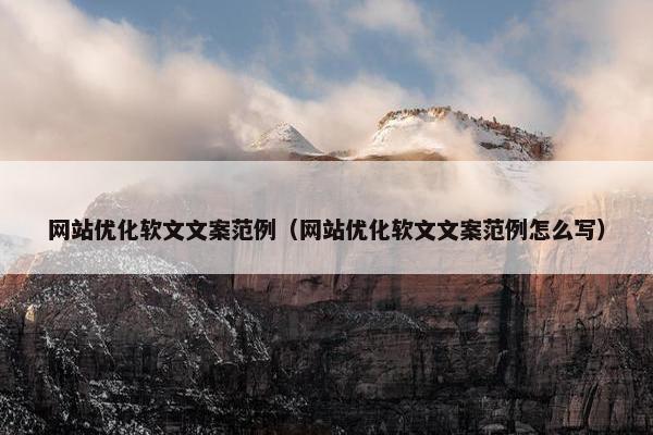 网站优化软文文案范例（网站优化软文文案范例怎么写）