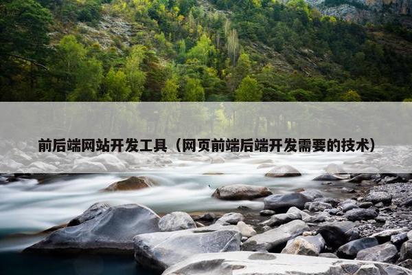 前后端网站开发工具（网页前端后端开发需要的技术）