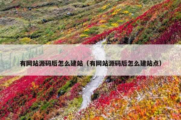 有网站源码后怎么建站（有网站源码后怎么建站点）