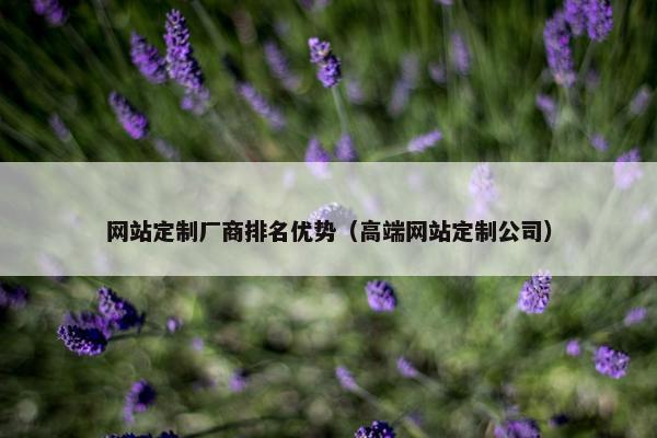 网站定制厂商排名优势（高端网站定制公司）