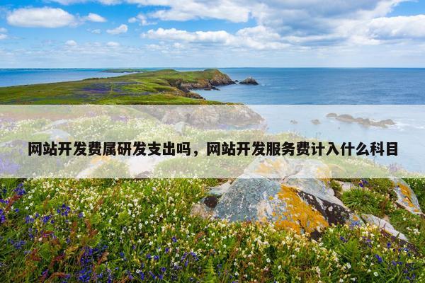 网站开发费属研发支出吗，网站开发服务费计入什么科目