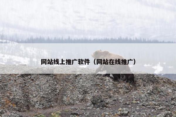 网站线上推广软件（网站在线推广）