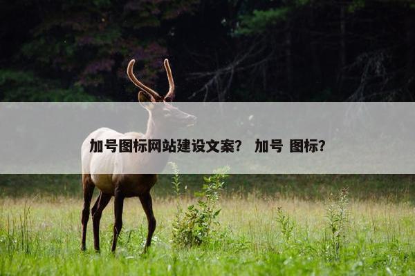 加号图标网站建设文案？ 加号 图标？