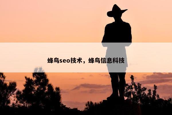 蜂鸟seo技术，蜂鸟信息科技