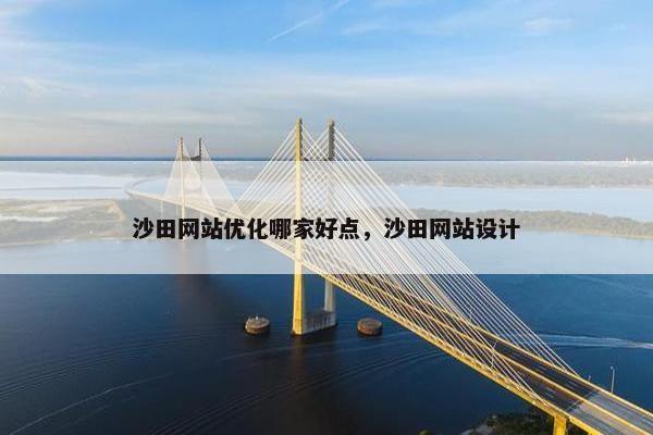 沙田网站优化哪家好点，沙田网站设计