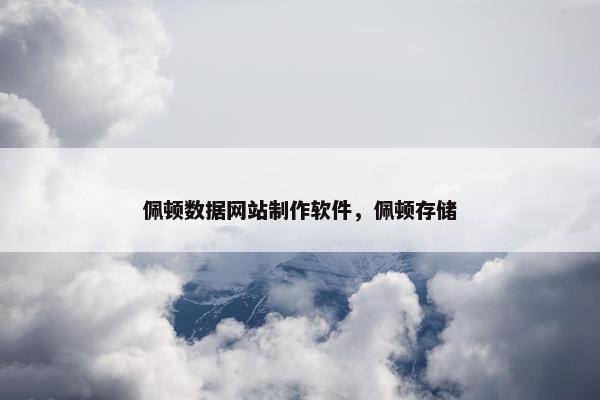 佩顿数据网站制作软件，佩顿存储