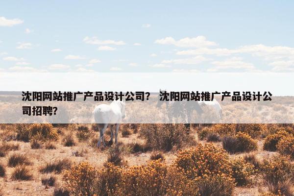 沈阳网站推广产品设计公司？ 沈阳网站推广产品设计公司招聘？