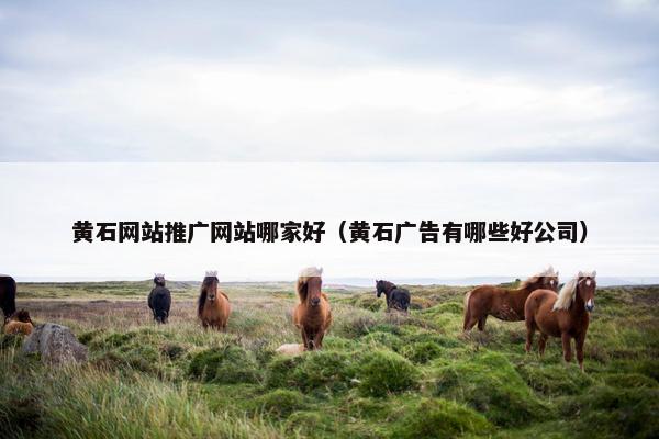 黄石网站推广网站哪家好（黄石广告有哪些好公司）