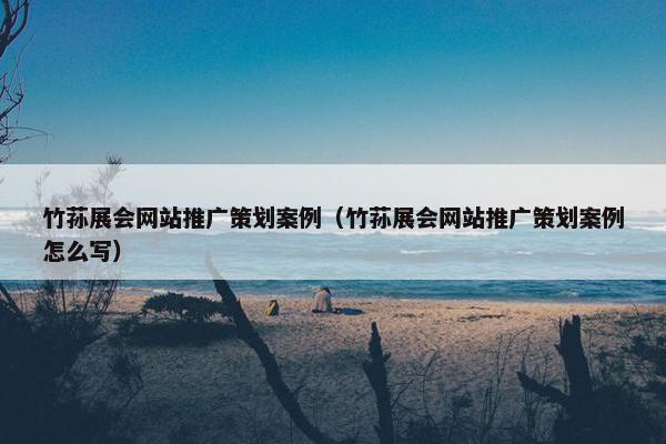 竹荪展会网站推广策划案例（竹荪展会网站推广策划案例怎么写）