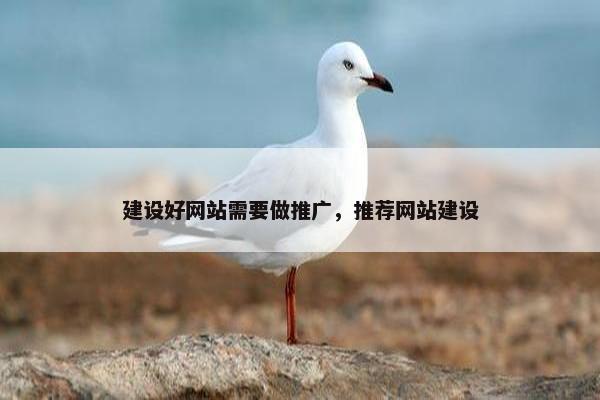 建设好网站需要做推广，推荐网站建设