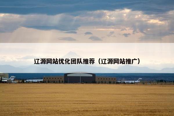 辽源网站优化团队推荐（辽源网站推广）