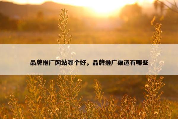 品牌推广网站哪个好，品牌推广渠道有哪些