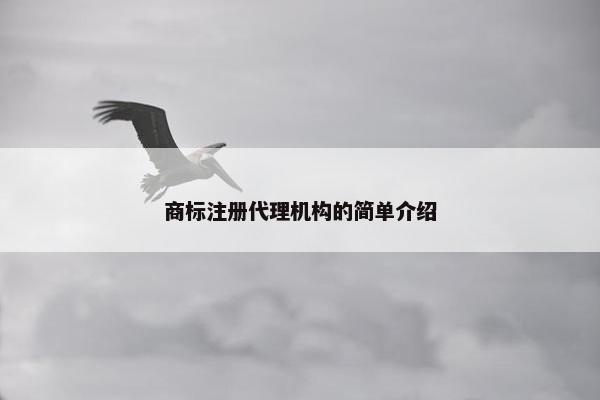 商标注册代理机构的简单介绍