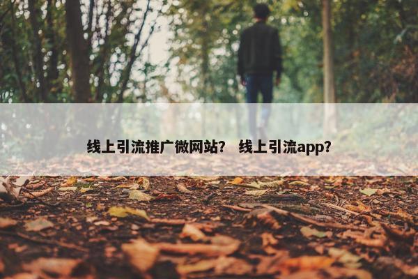 线上引流推广微网站？ 线上引流app？