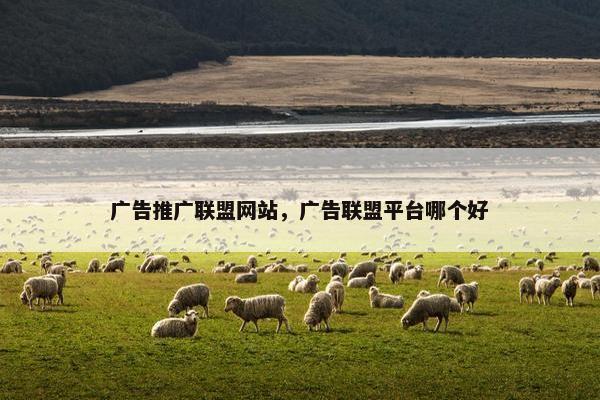 广告推广联盟网站，广告联盟平台哪个好
